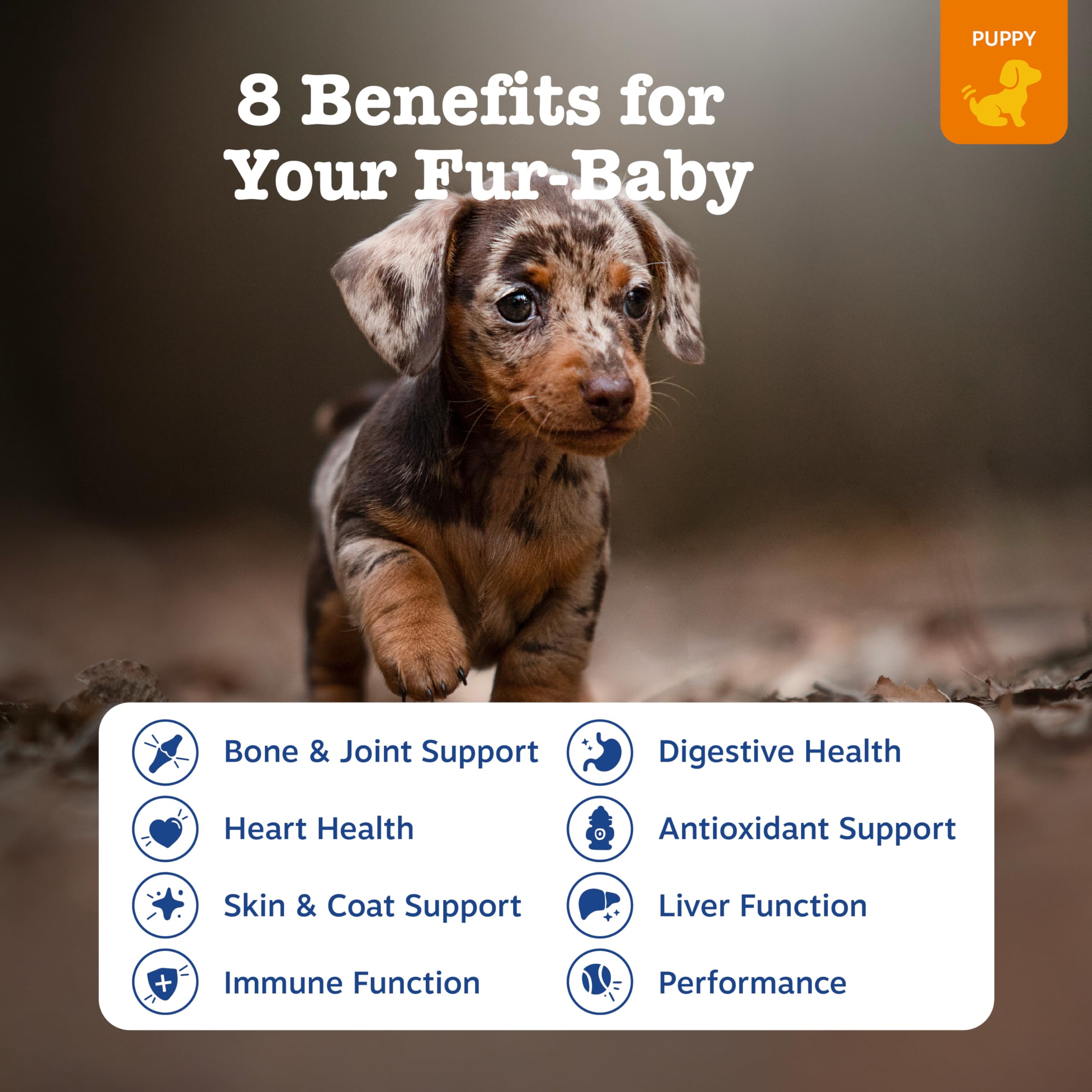Zesty Paws bocado masticable para cachorros, sabroso y fácil de administrar