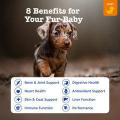 Zesty Paws bocado masticable para cachorros, sabroso y fácil de administrar
