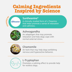 Zesty Paws Calming Chews Suntheanine ingrediente clave para relajación
