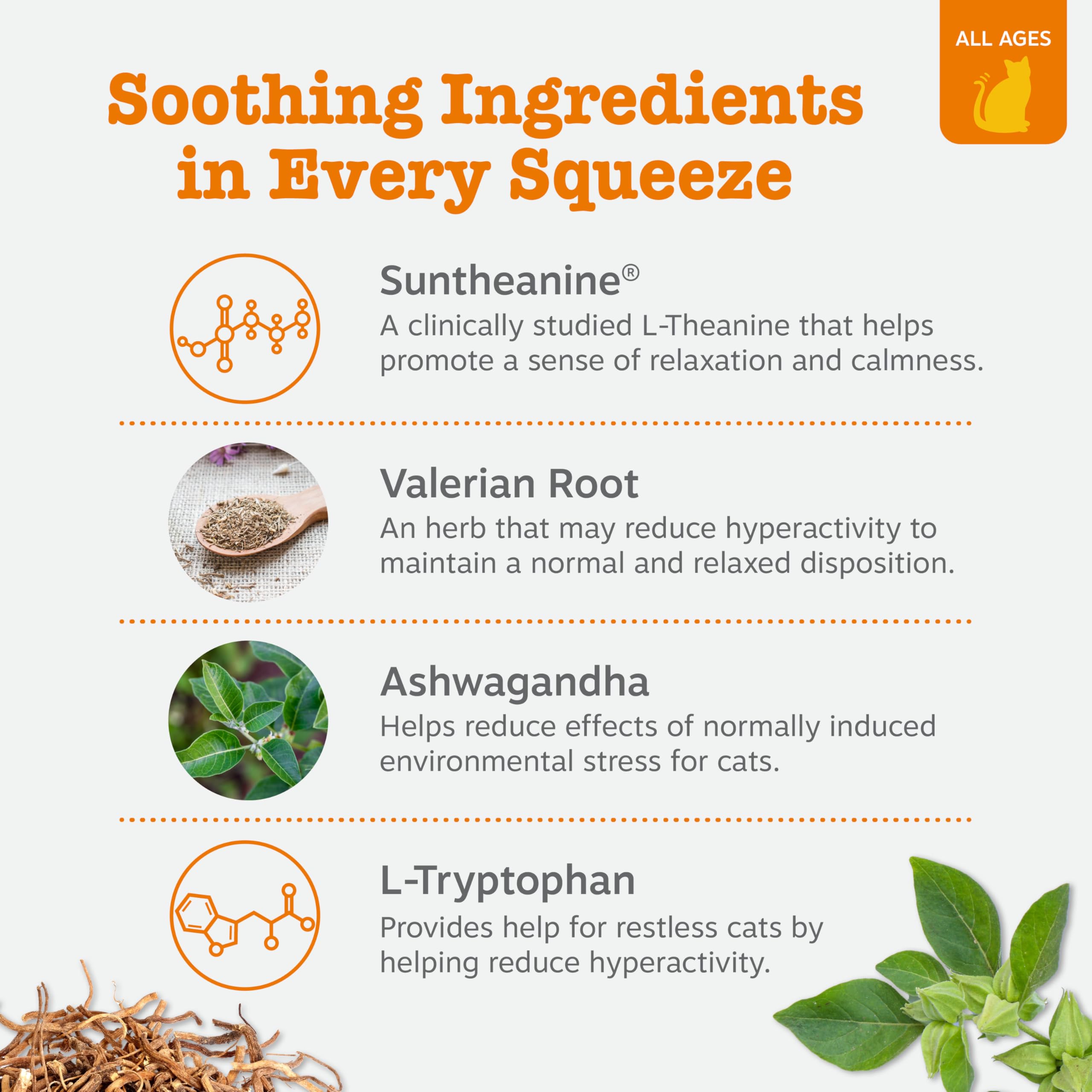 Gato recibiendo mousse calmante en viaje, apoyo para la serenidad durante desplazamientos.