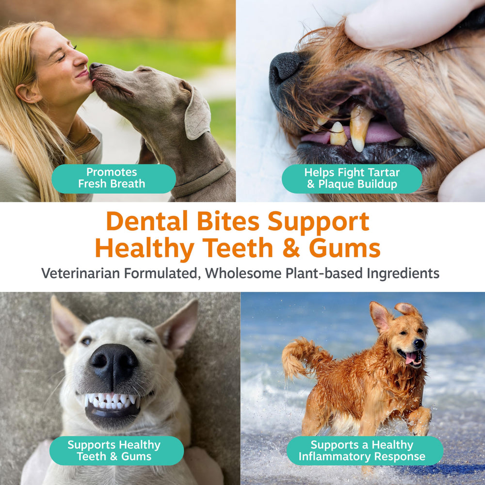 Zesty Paws Clean Breath con menta para aliento más agradable