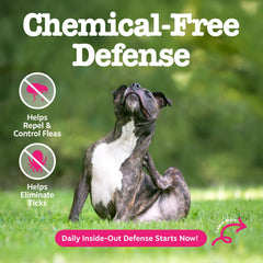 Zesty Paws control pulgas y garrapatas para perros, masticables diarios