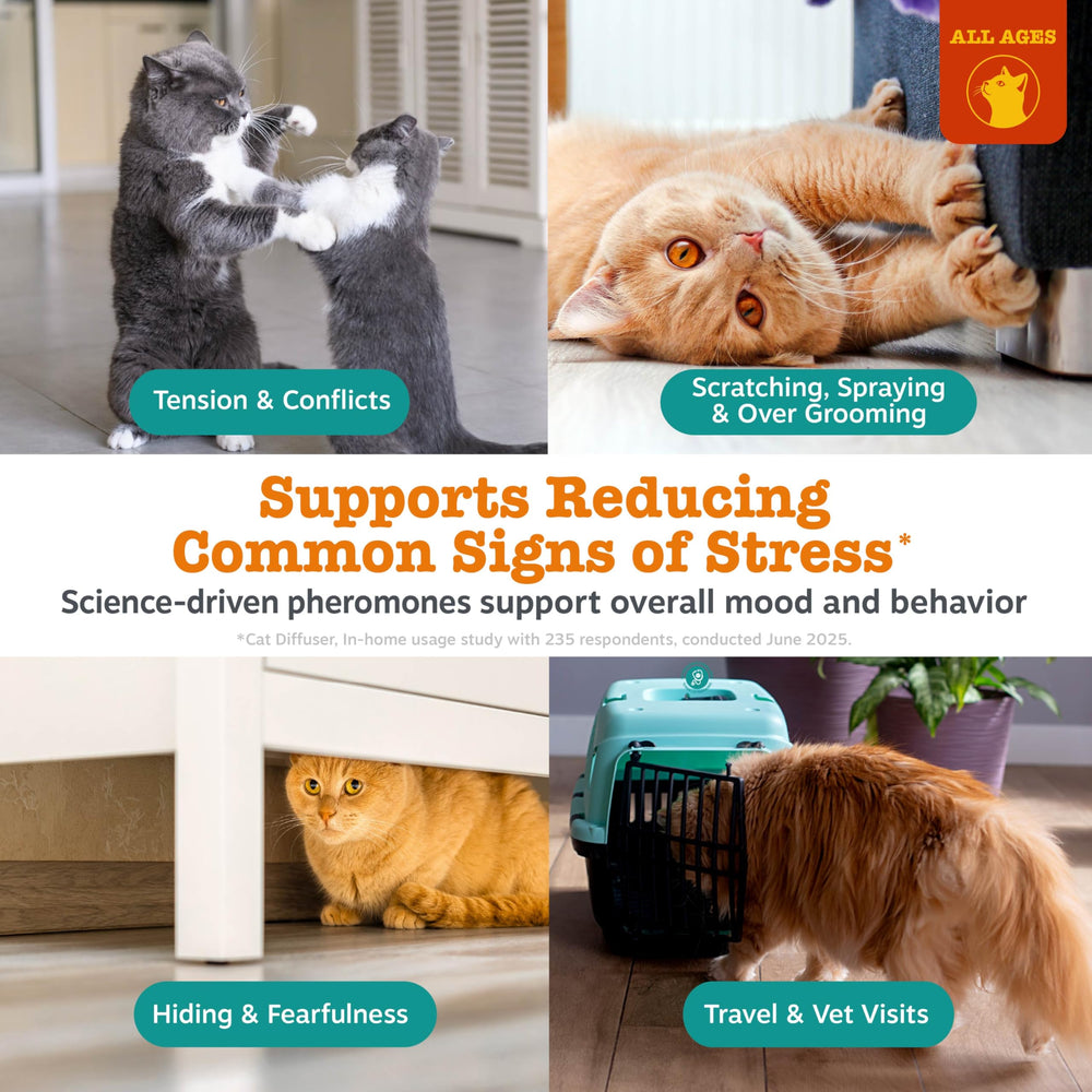 Difusor Zesty Paws en instalación de pared para calma continua.