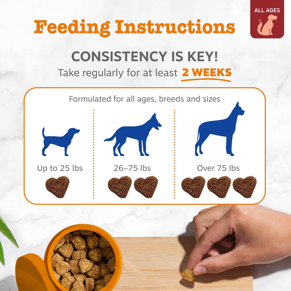 Zesty Paws Dog Multivitamin: etiqueta del empaque, claridad de ingredientes clave.