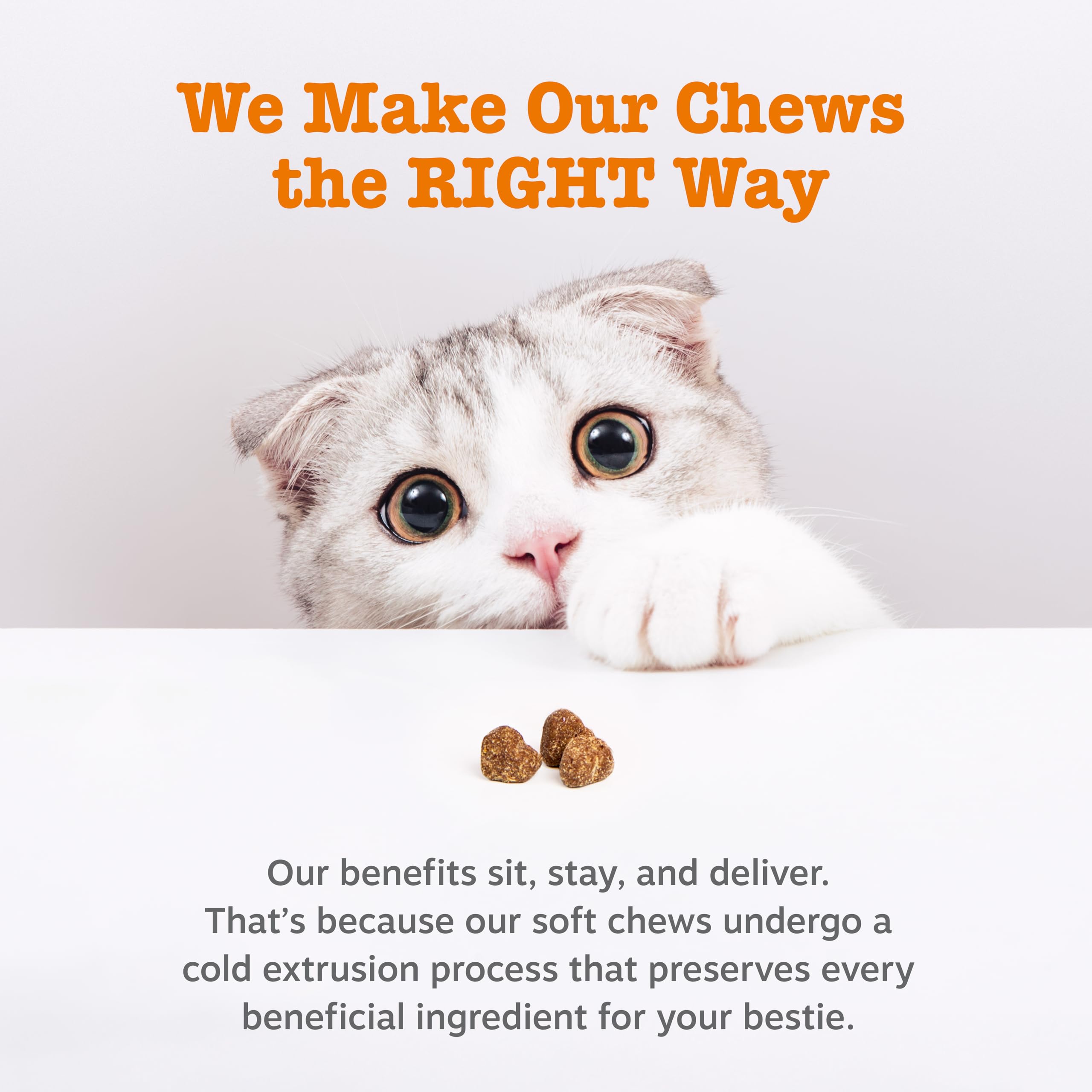 Zesty Paws: Epicor Pets para gatos, apoyo inmune.