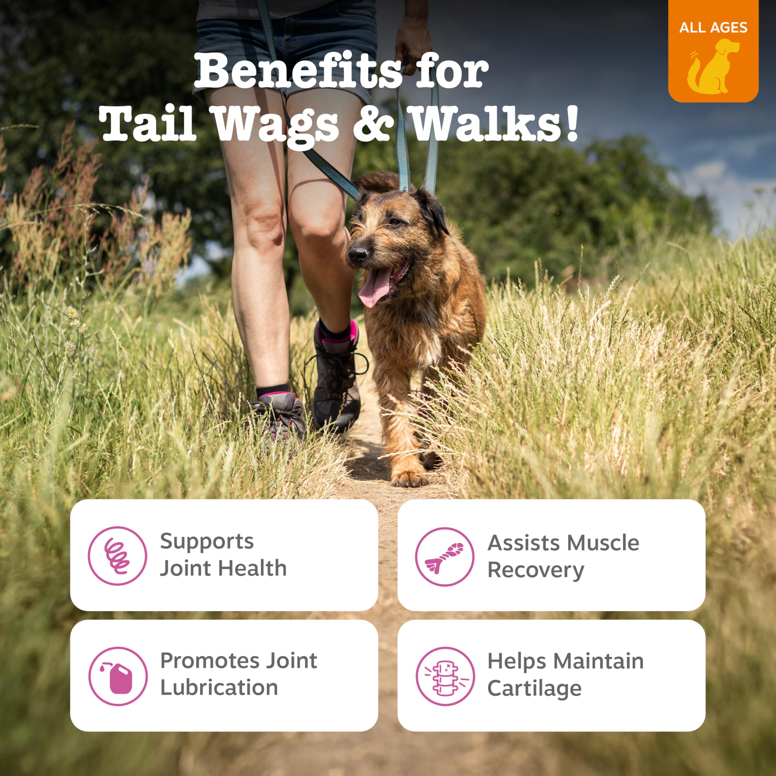 Bocados Zesty Paws con glucosamina y condroitina para articulaciones de perros, sabor pato.