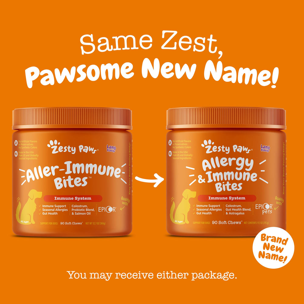 Perro contento con gomitas Zesty Paws, bienestar general diario.