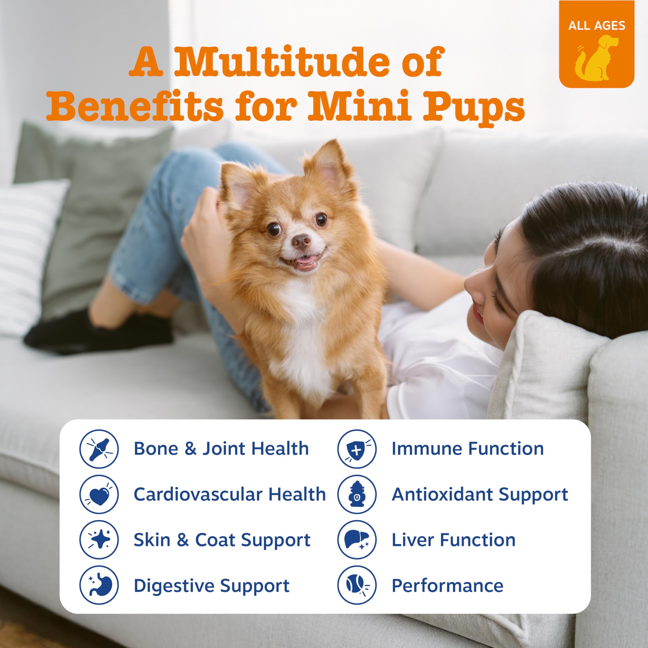 Gominolas para perros de cuidado de piel y pelaje con Zesty Paws.