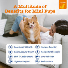 Gominolas para perros de cuidado de piel y pelaje con Zesty Paws.