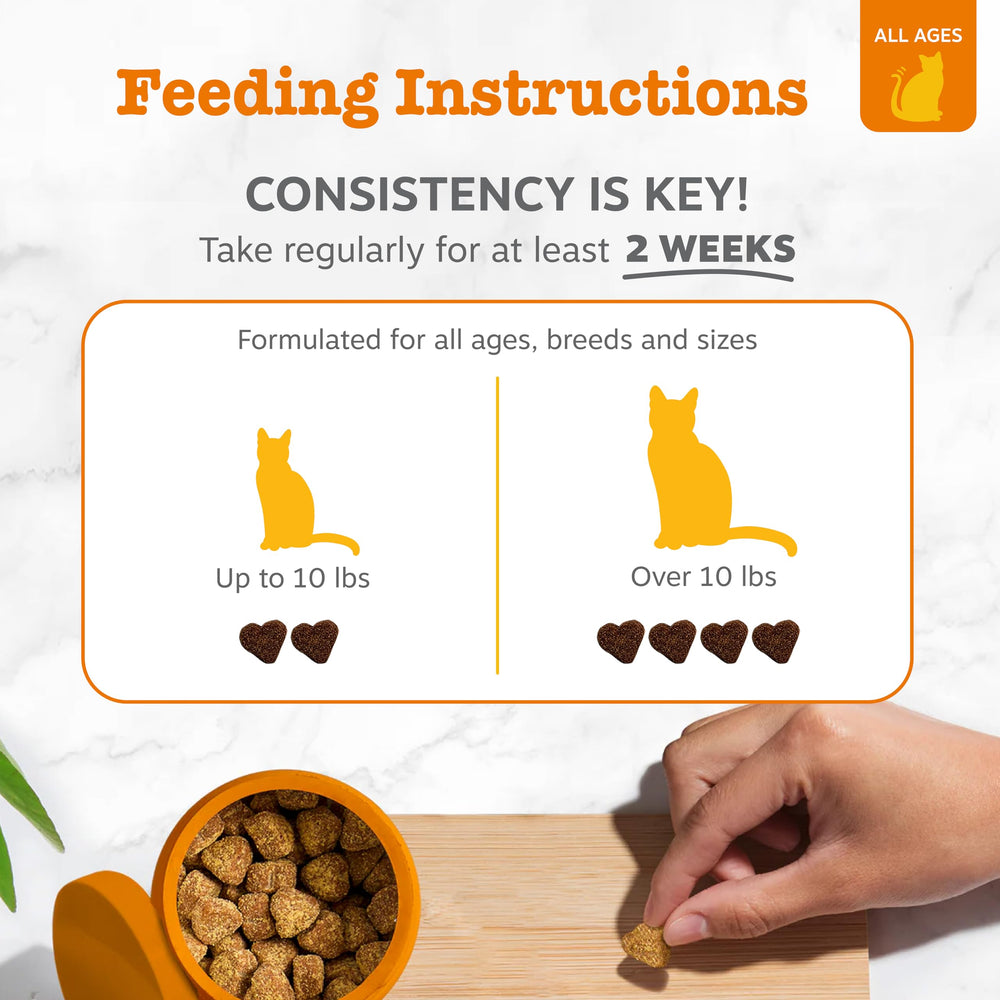 Zesty Paws Hairball Bites, contiene omega-3 para la piel del gato.