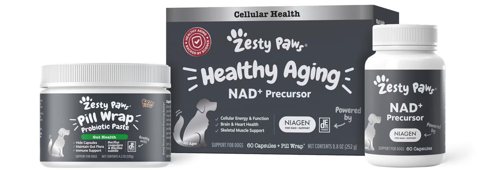 Zesty Paws NAD+ precursor en cápsulas para perros, potencia la vitalidad diaria.