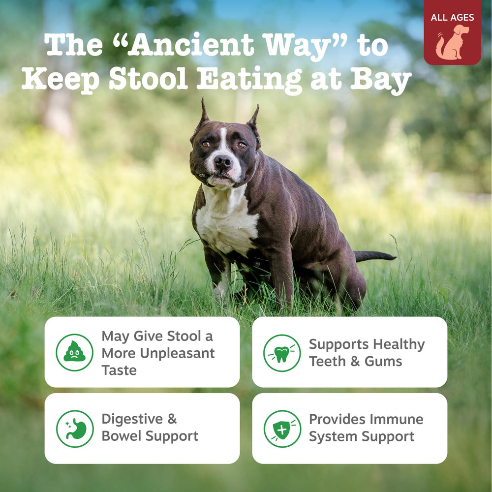 Zesty Paws No Poo Bites textura suave para masticar.