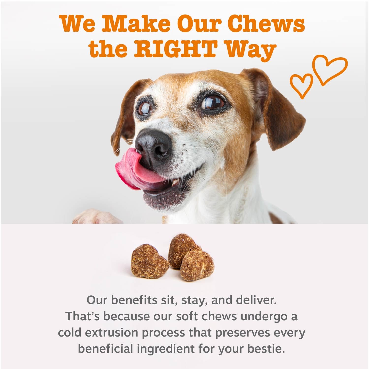 Omega-3 Zesty Paws para perros, EPA y DHA para piel y salud.