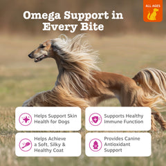 Zesty Paws Omega 3 para perros: masticables en primer plano cerca de la textura.