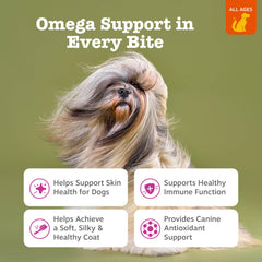 Suplemento Omega-3 para perros mejora piel y pelo.