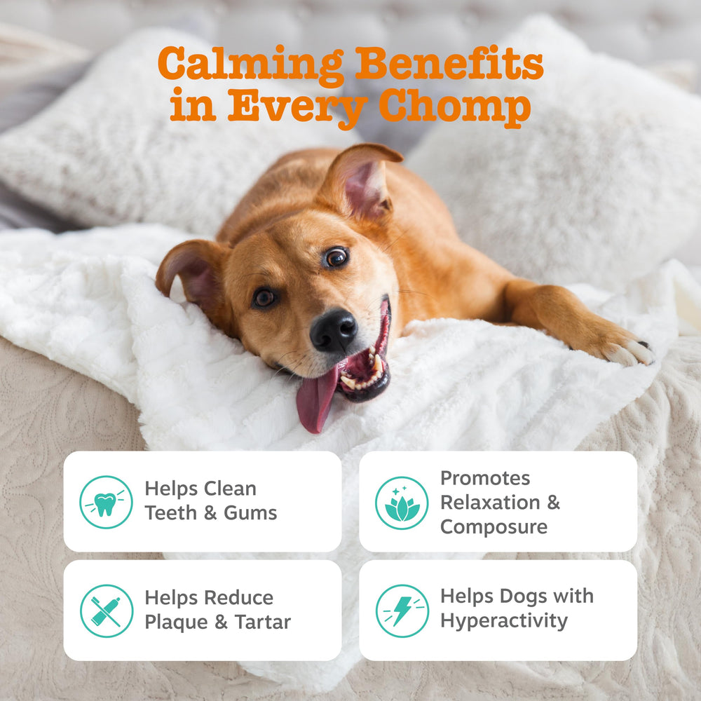 OraStix, palito dental para perros, apoya la salud bucal y la calma