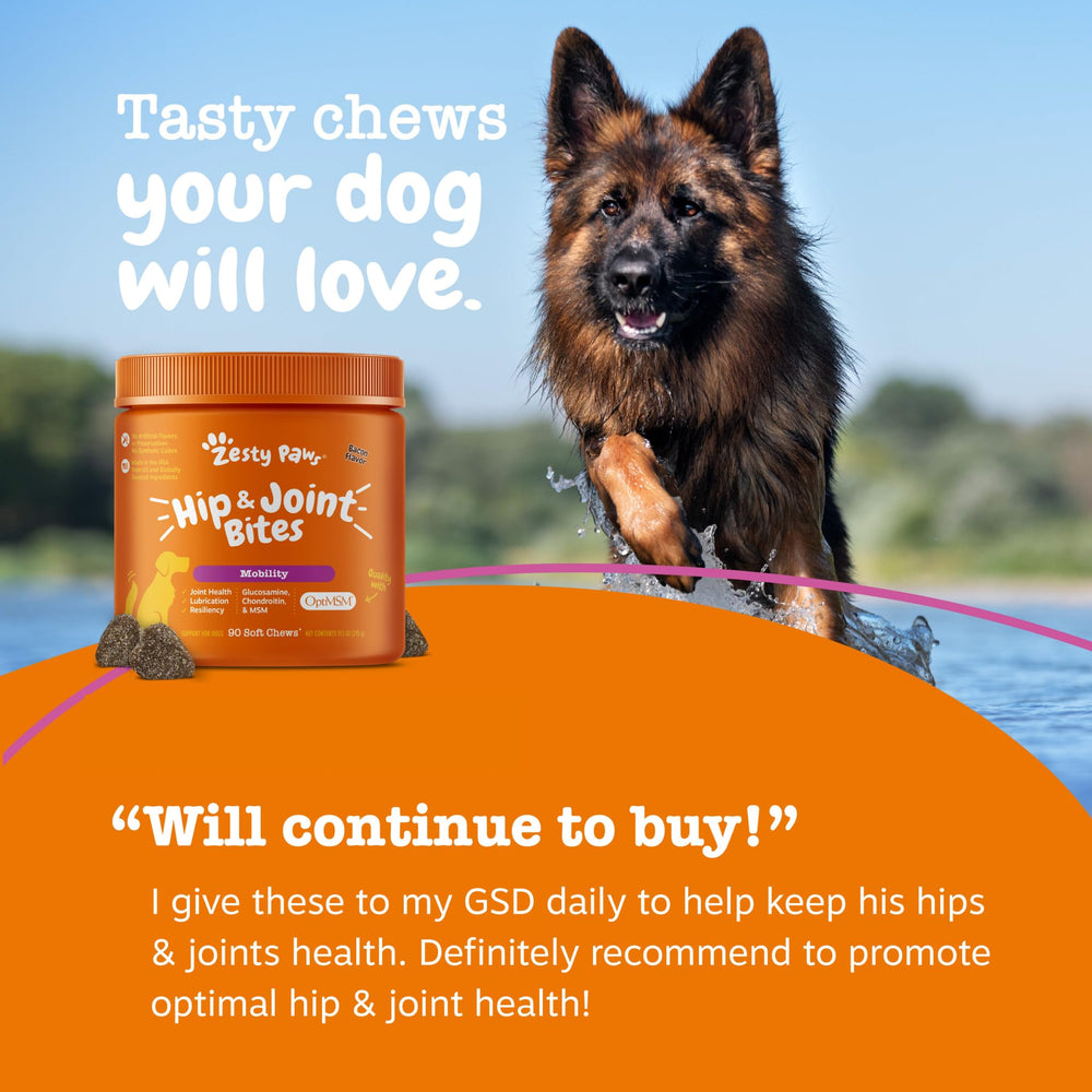 Zesty Paws Perro activo con masticables sabor tocino