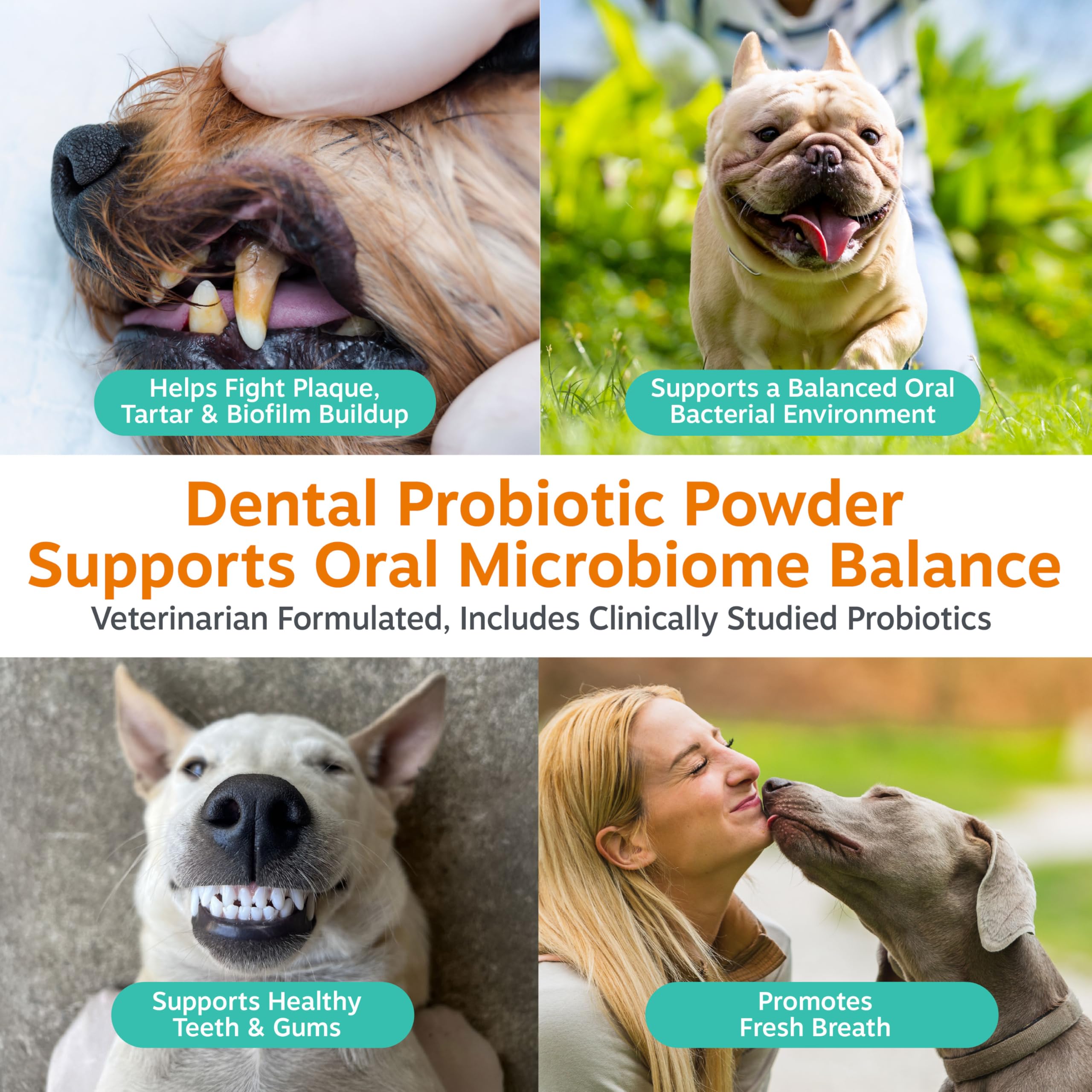 Zesty Paws Polvo Probiotico Dental para Perros dientes limpios y sanos.