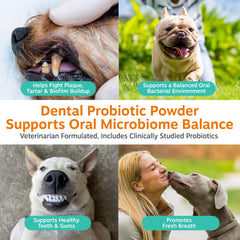 Zesty Paws Polvo Probiotico Dental para Perros dientes limpios y sanos.