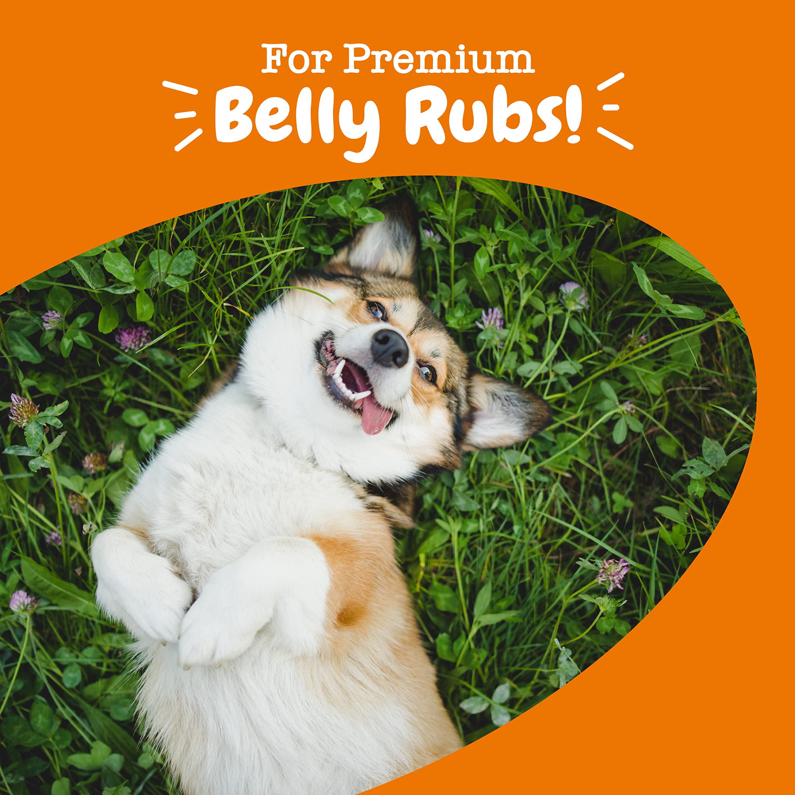 Zesty Paws Probioticos, beneficios para la digestion normal en todas las razas.