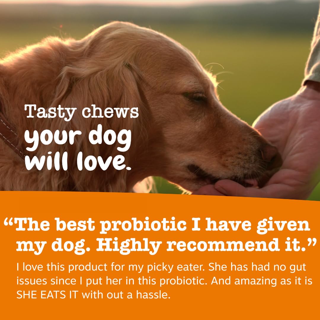 Zesty Paws snack inmunológico para perros, posible apoyo diario