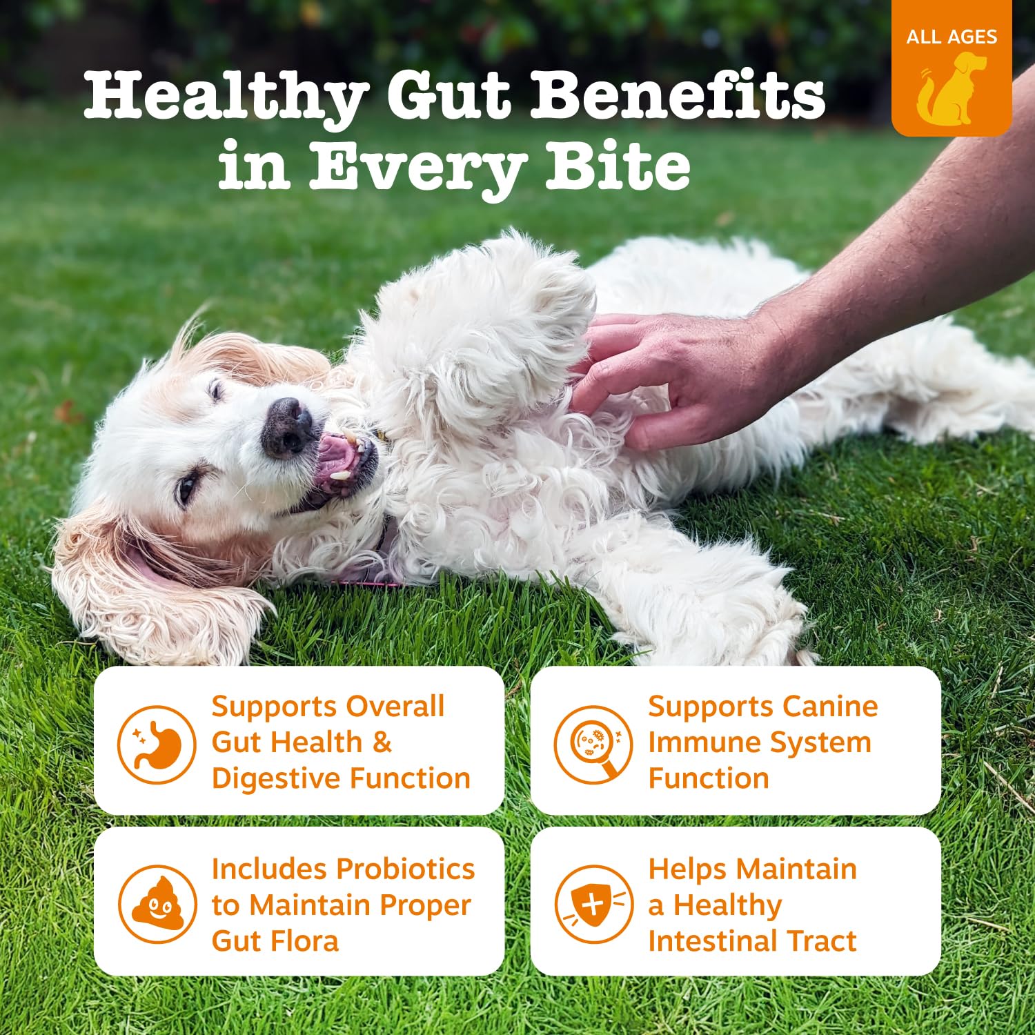 Zesty Paws Probióticos DE111: Bacillus subtilis para la salud intestinal canina.