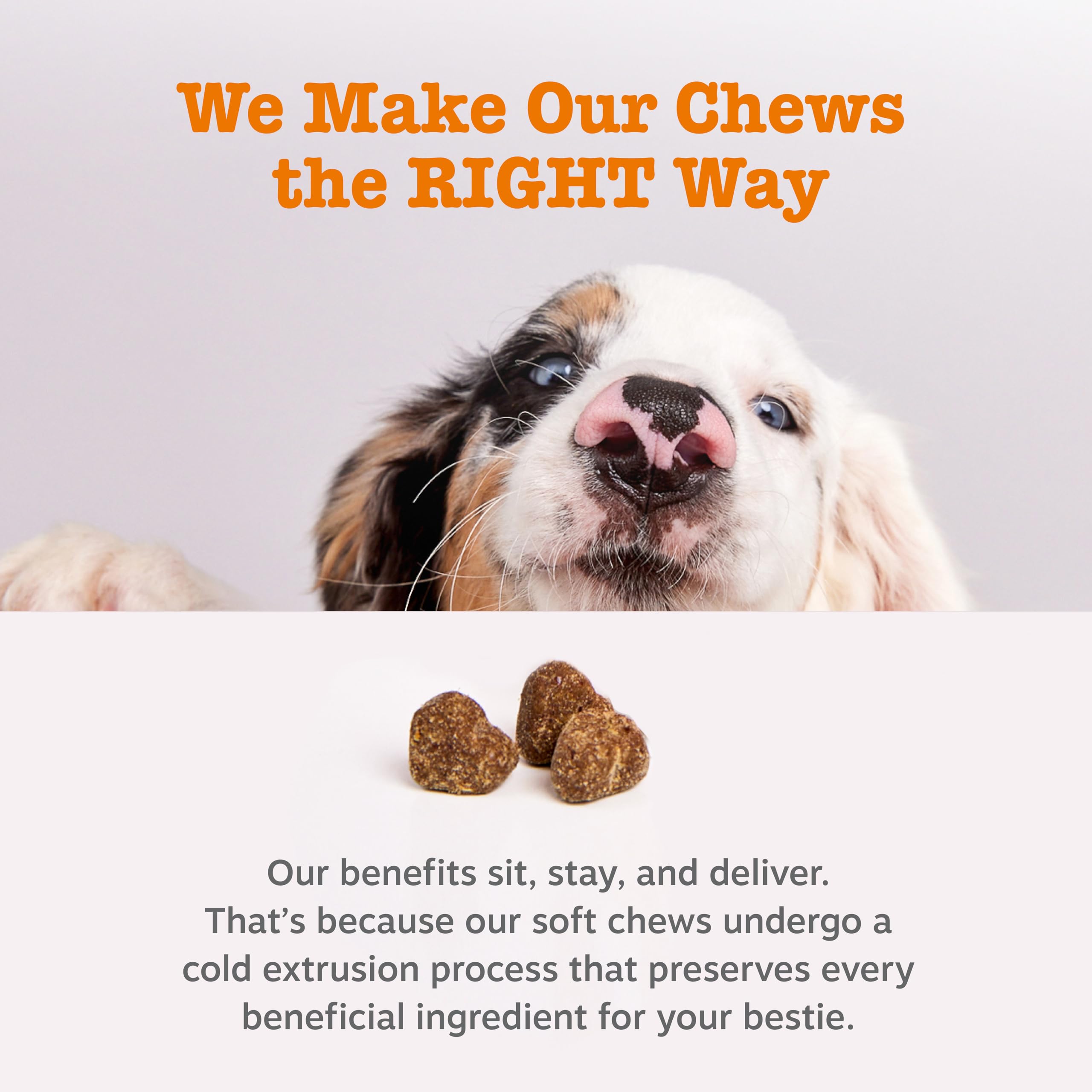 Zesty Paws Probióticos: pack de dos para uso diario.