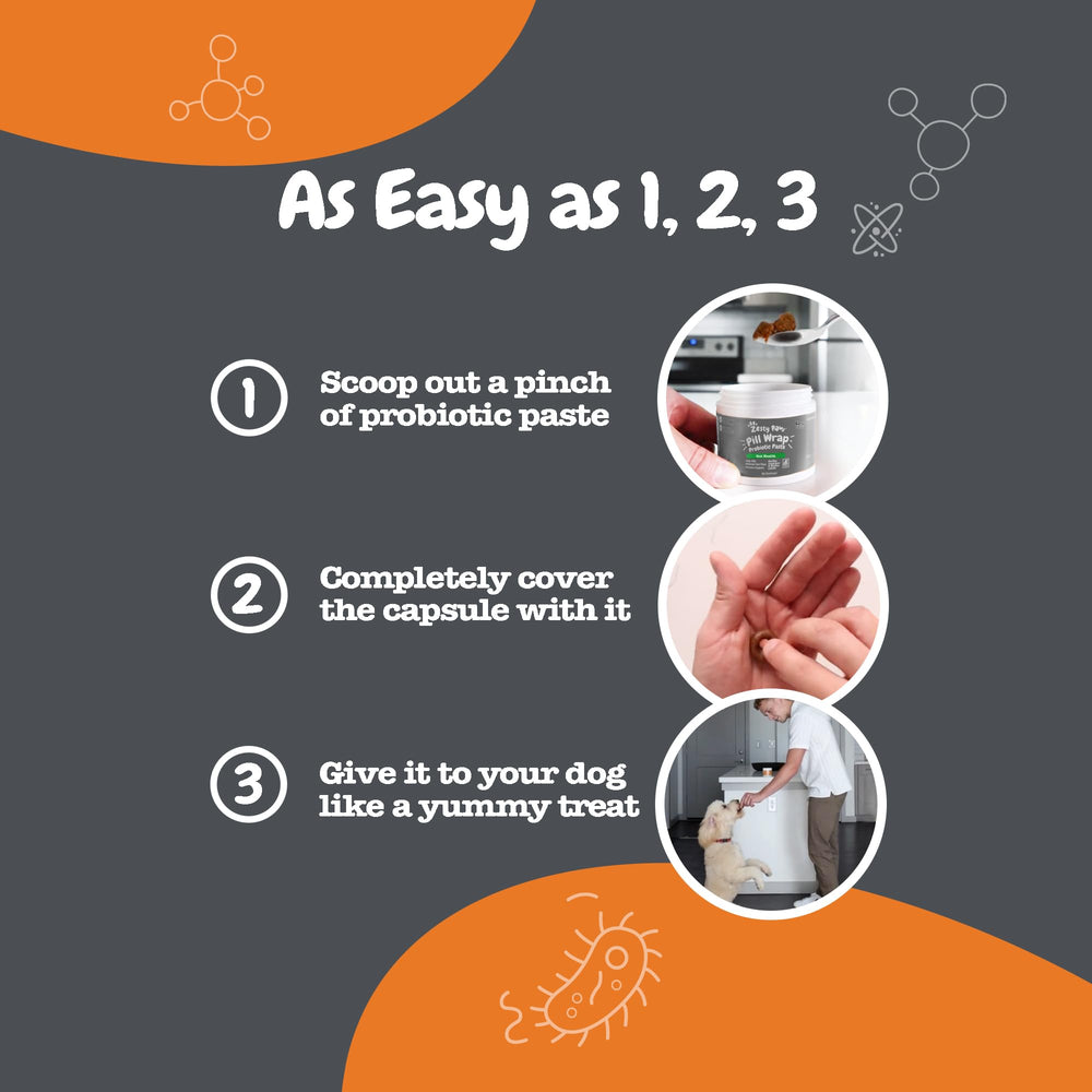 Zesty Paws, mejora de la función cerebral en perros durante la vida diaria.