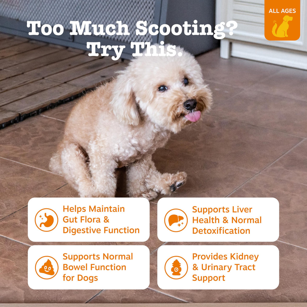 Zesty Paws Scoot Away textura suave para masticar con facilidad
