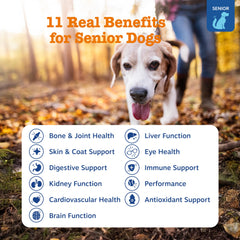 Tabletas Zesty Paws Senior para perros mayores, sabor sabroso y fácil de tomar.
