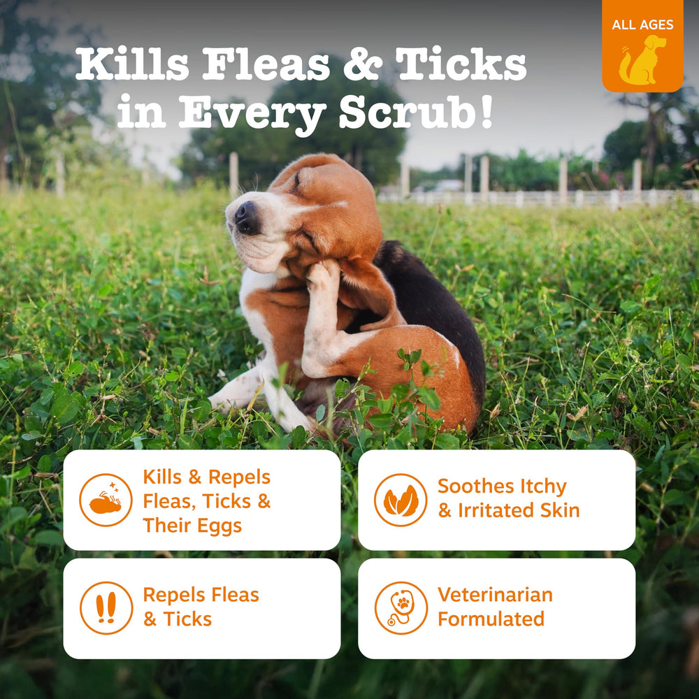 Aplicación manual con Zesty Paws para perros, método fácil
