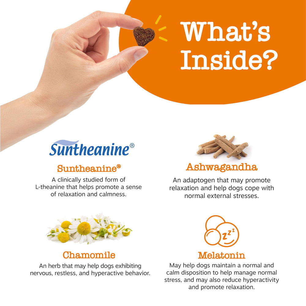 Suntheanine en Zesty Paws, ingrediente clave para relajación