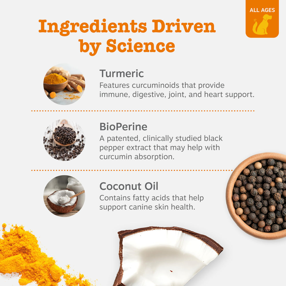 Zesty Paws Turmeric Curcumin: ingrediente curcuma orgánica para perros.
