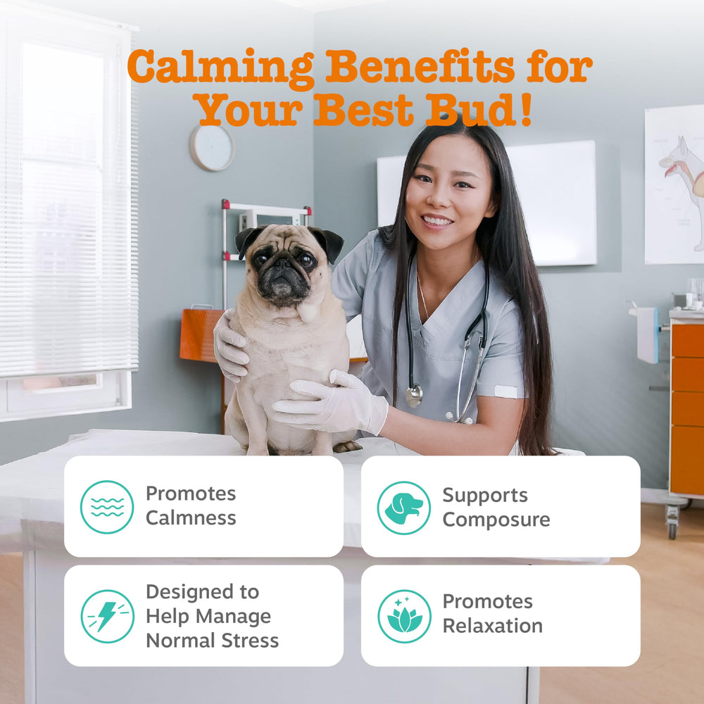 Zesty Paws Vet Strength Calming Bites textura suave y agradable para masticar