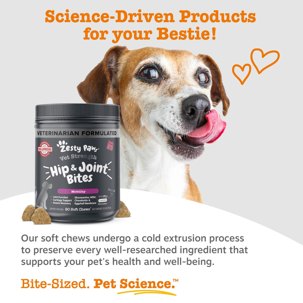 Serrazimes en Zesty Paws Vet Strength Mobility Bites
