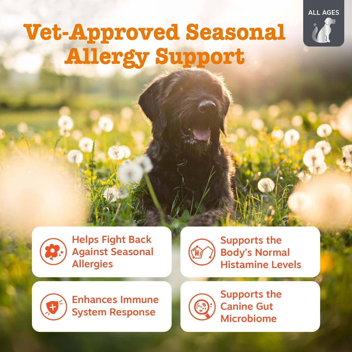 Zesty Paws Vet Strength probióticos para perros, salud intestinal y vitalidad diaria