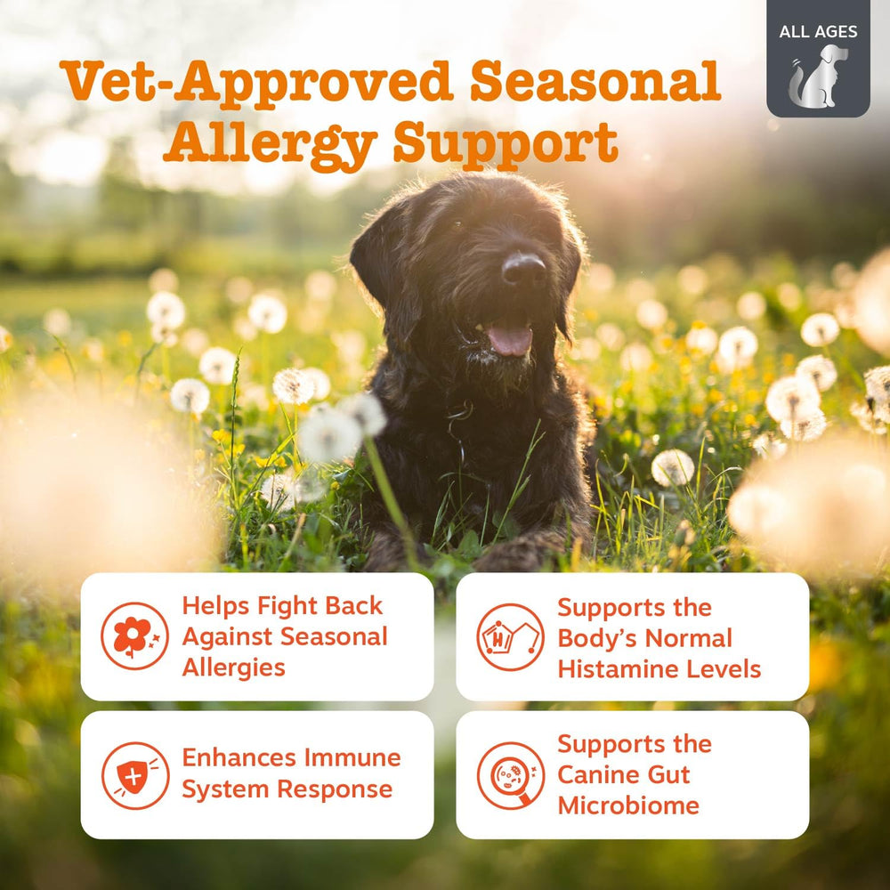 Zesty Paws Vet Strength probióticos para perros, salud intestinal y vitalidad diaria