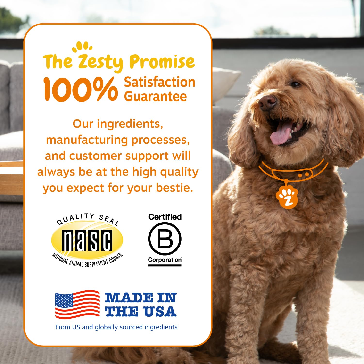 Sabor apto para perros de Zesty Paws Vet Strength Probiotics facilita el cuidado diario.
