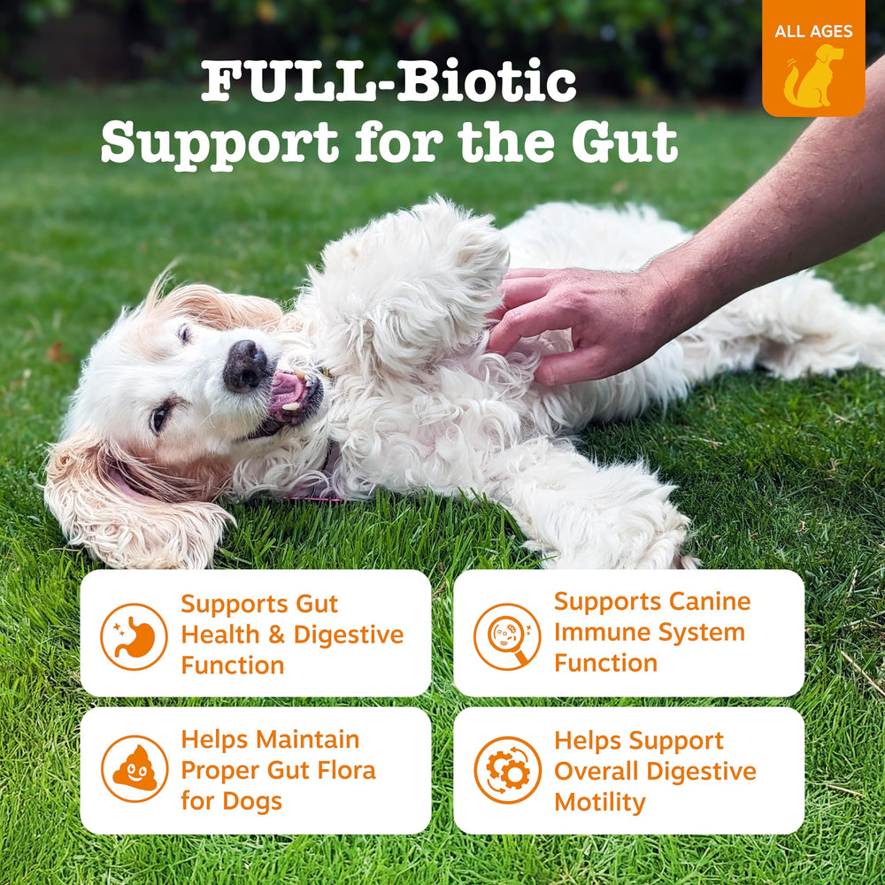 Pastillas masticables de Zesty Paws Vet Strength Probiotics para perros, sabor agradable.