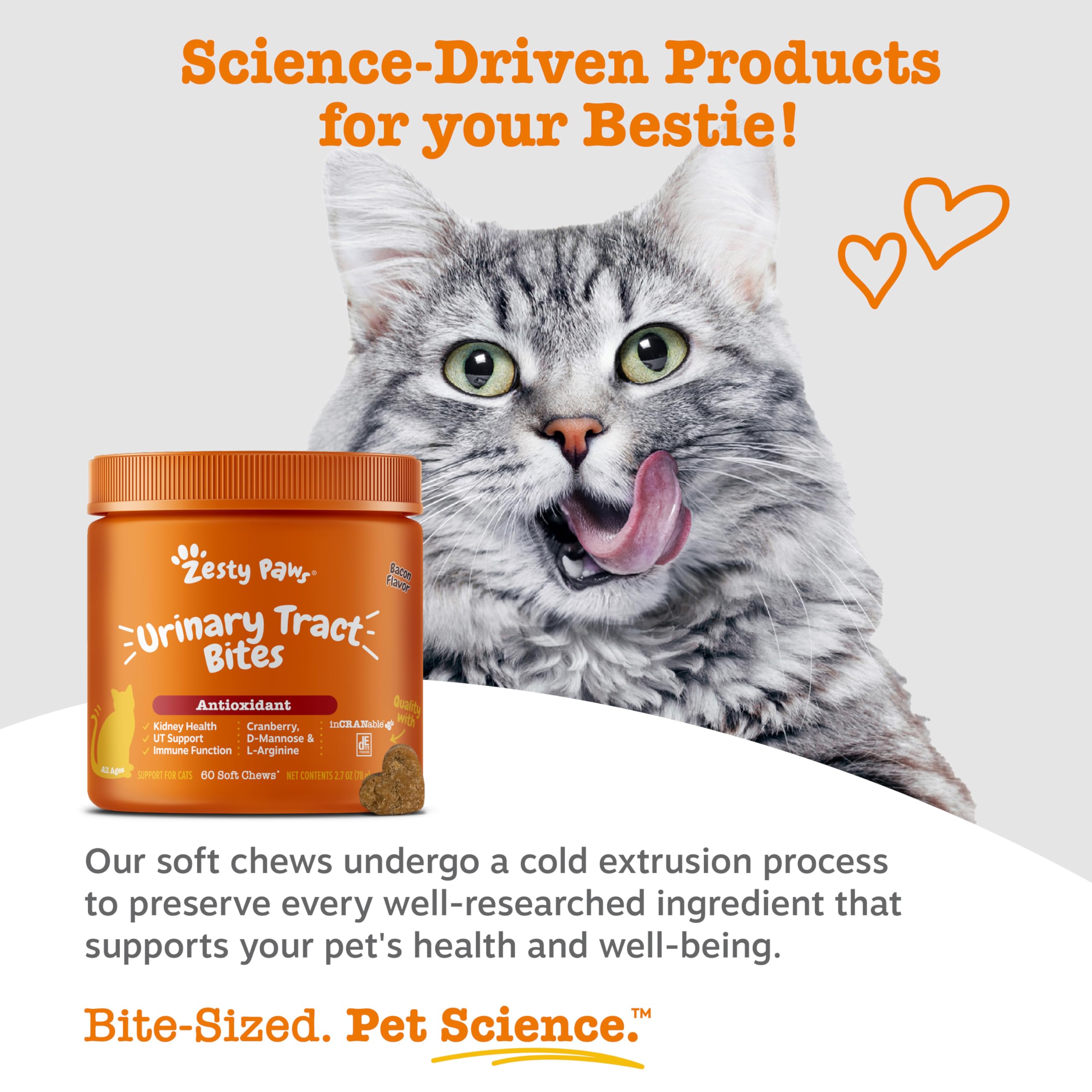 Zesty Paws vitamina B6 para apoyo inmunitario del gato