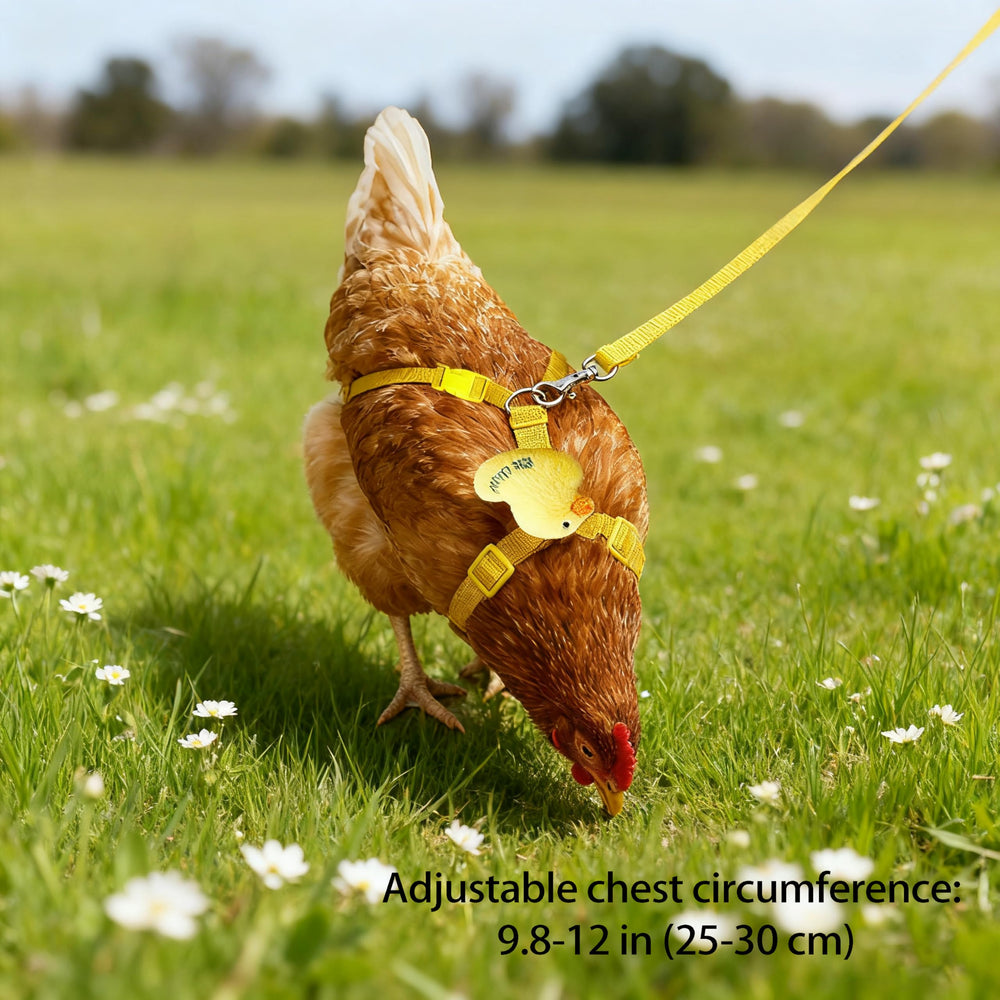 ZHENYOUBML arnés collar para aves resistente y ligero para uso diario
