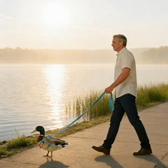 ZHENYOUBML correa para aves paseos transpirable facilita caminar