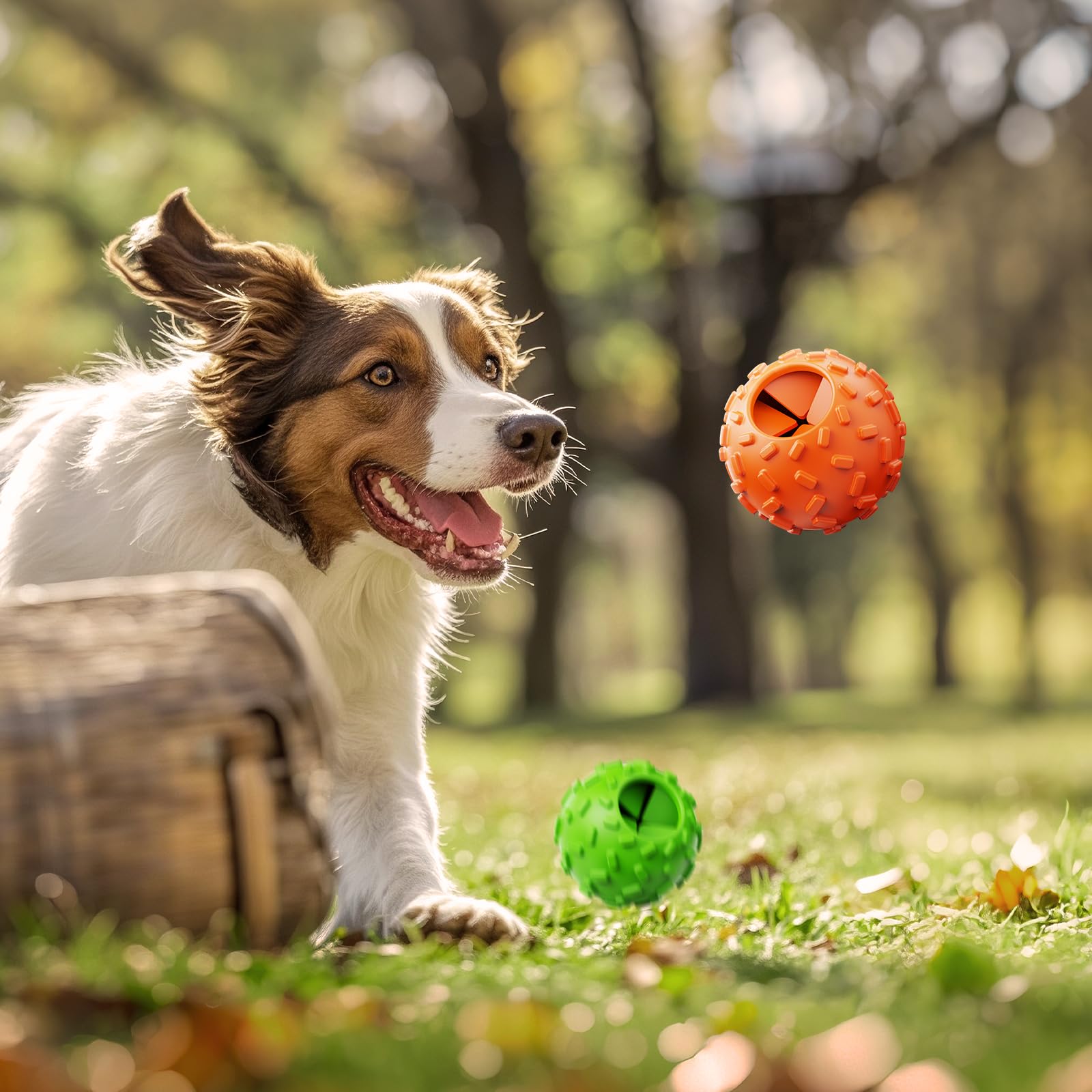 Regalo perfecto ZHIERDE para ocasiones especiales, diversión y entrenamiento del perro.