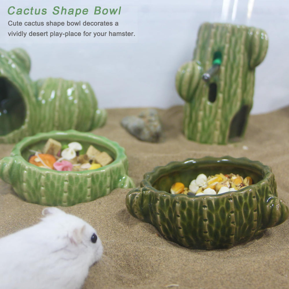 Cuenco cerámico Zhilishu con cactus, resistente y estable para roedores.