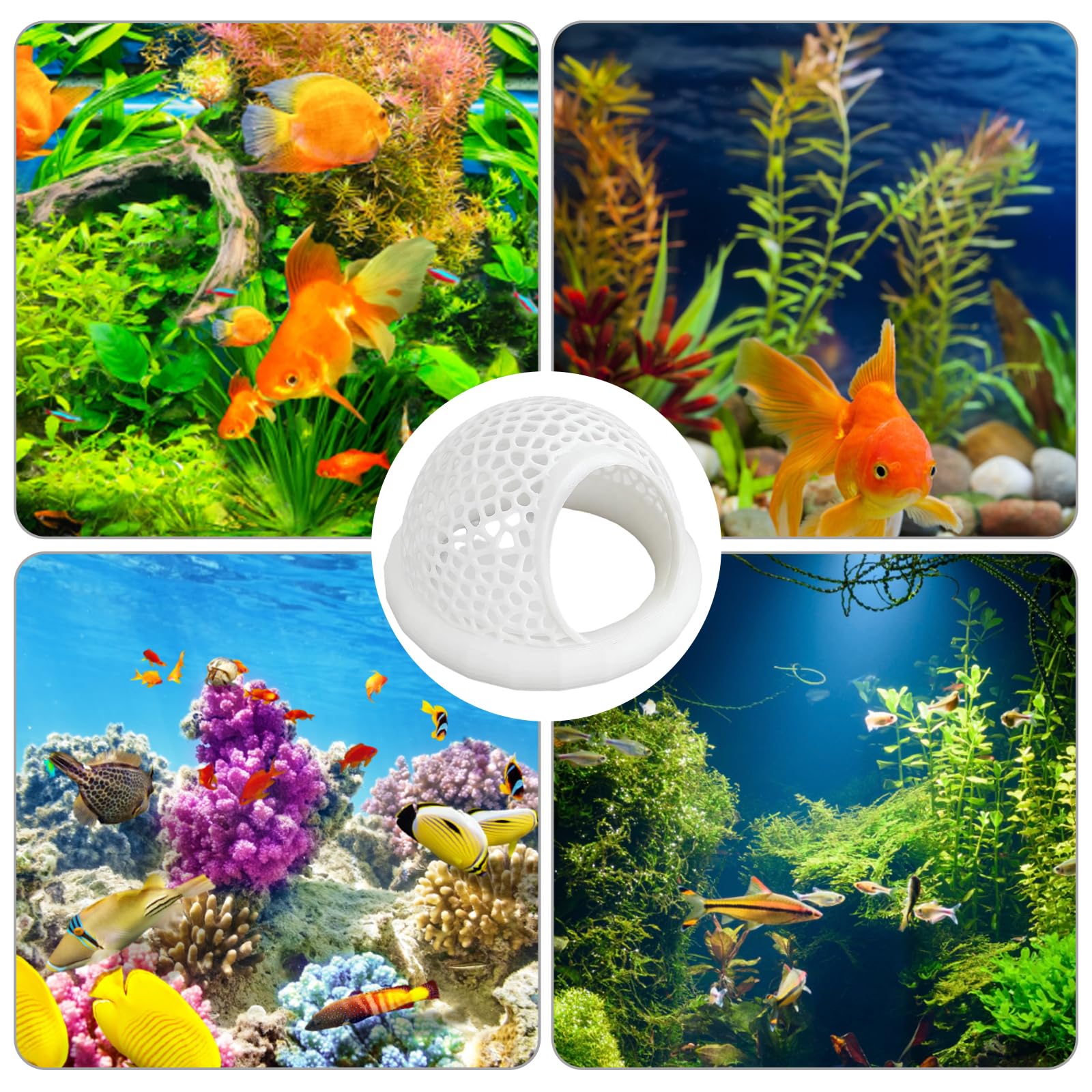 ZHLKHIOP conjunto de dos hamacas betta, mejora el ambiente del acuario.