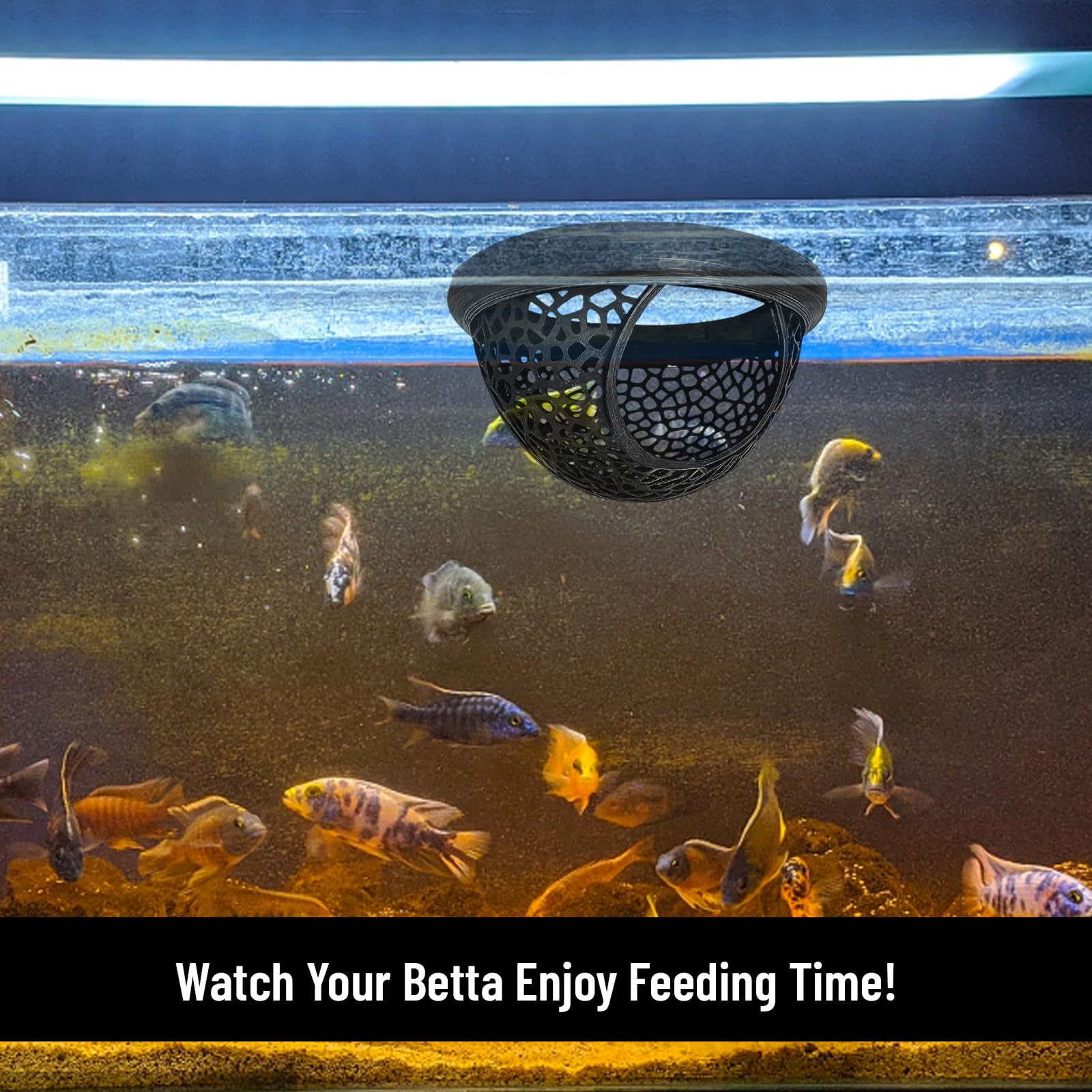 ZHLKHIOP accesorio de acuario para betta, facilita instalación.