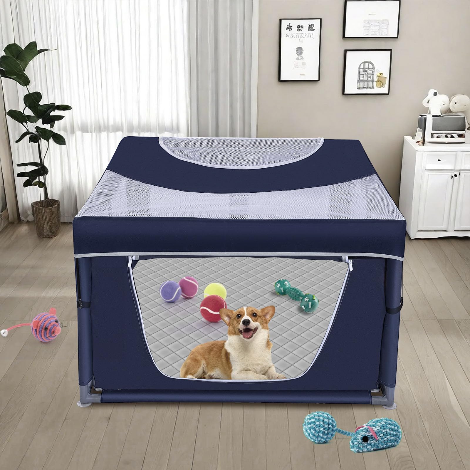 Zikopomi uso interior para mascotas pequeñas, cómodo y seguro.