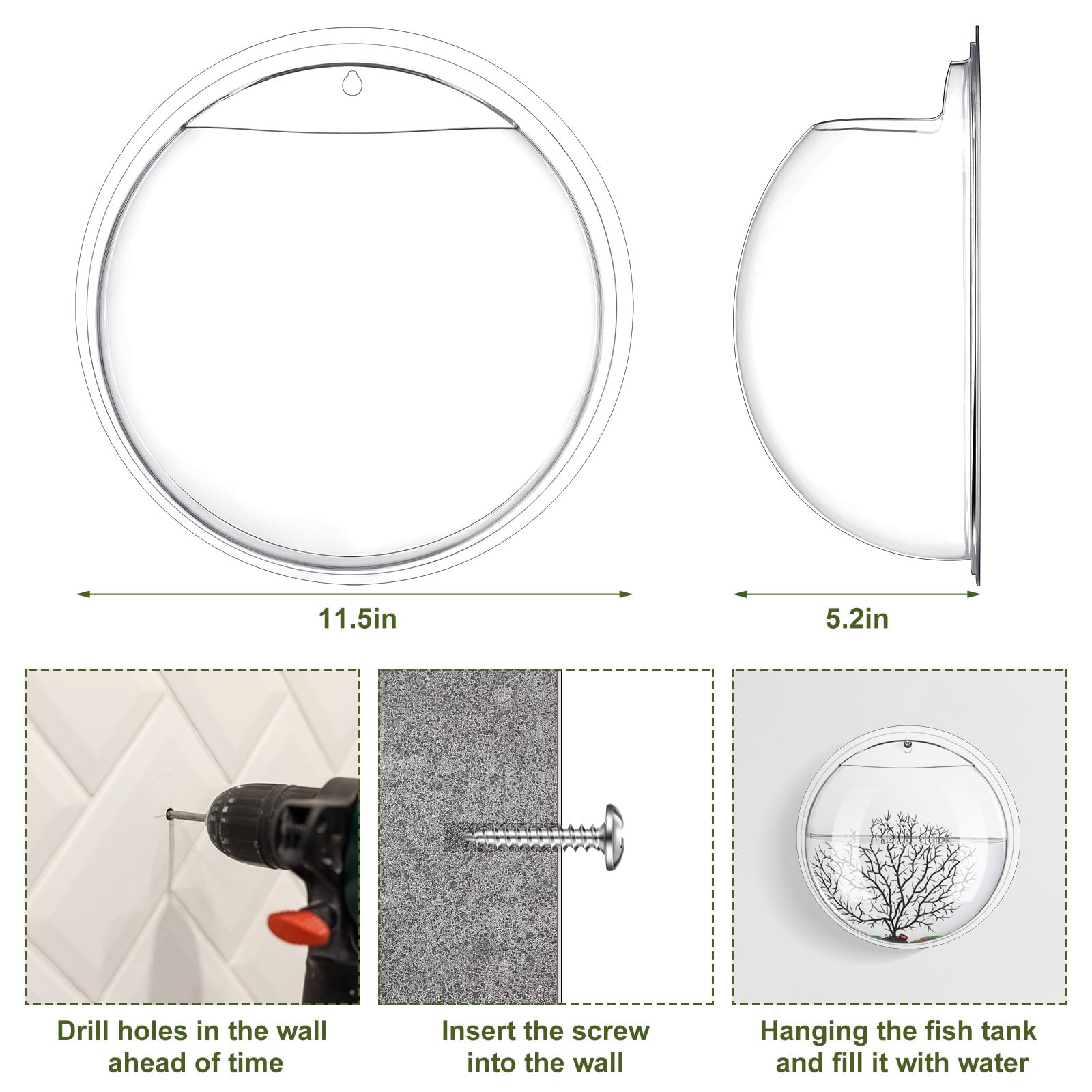 Jarrón Ziliny de pared 1 galón para ecosfera decorativa con plantas.