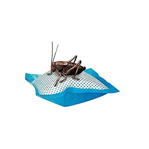Zilla almohadillas de agua en terrario mantienen grillos activos por más días.