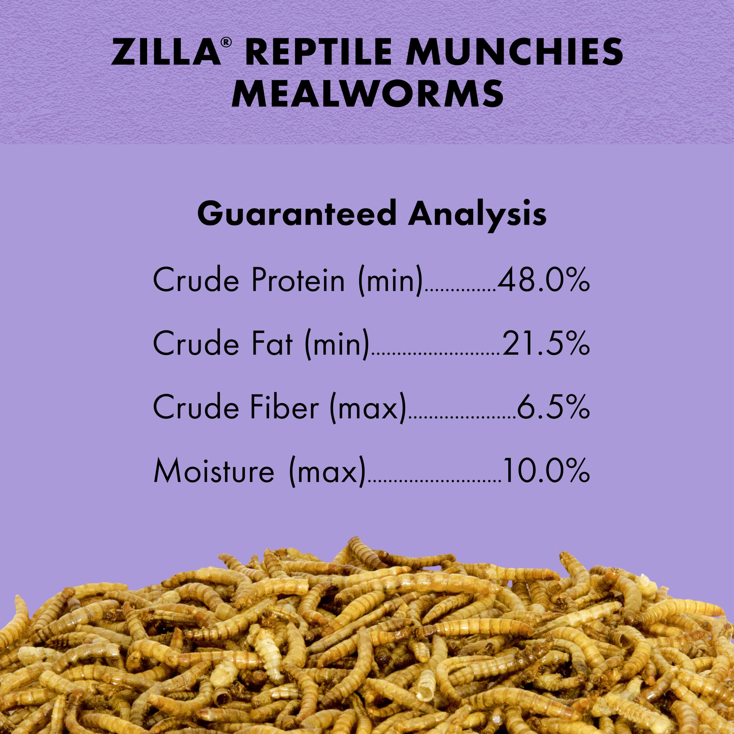 Zilla Premios para reptiles camaleon saboreando snack dentro del terrario